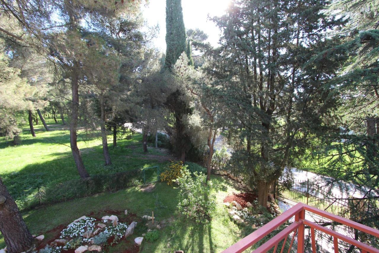 Apartment Clementina Višnjan Zewnętrze zdjęcie